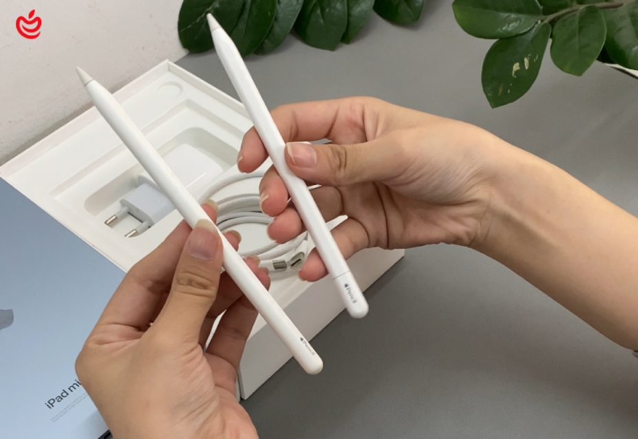 Apple Pencil tương thích với iPad nào? Cách chọn bút và sử dụng từng loại