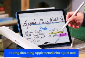 Hướng Dẫn Sử Dụng Apple Pencil Cho Người Mới Bắt Đầu