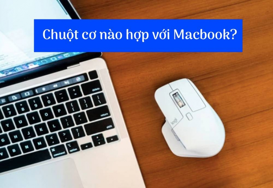 MacBook Dùng Chuột Cơ Được Không? Những Loại Chuột Dùng Tốt Cho MacBook