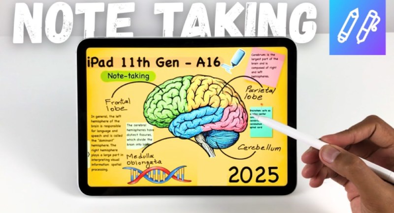 null null