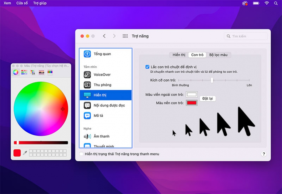 Hướng dẫn tùy chỉnh con trỏ chuột trên Macbook