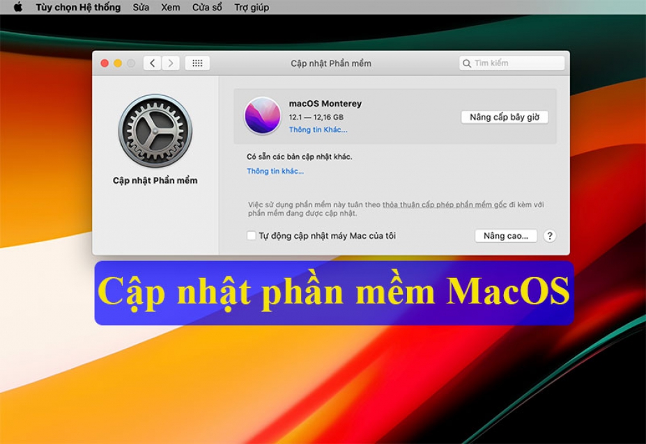 Hướng dẫn cập nhật phần mềm trên Macbook nhanh chóng